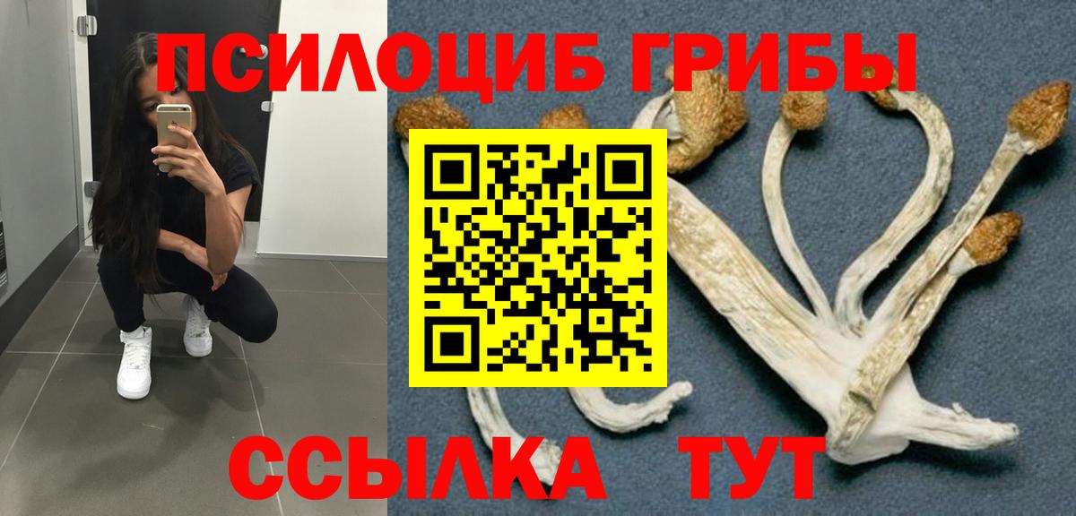 Галлюциногенные грибы Psilocybine cubensis  Галлюциногенные грибы мухоморы  Вход с VPN  Егорьевск 