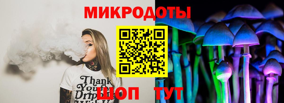 Псилоцибиновые грибы Psilocybine cubensis Егорьевск